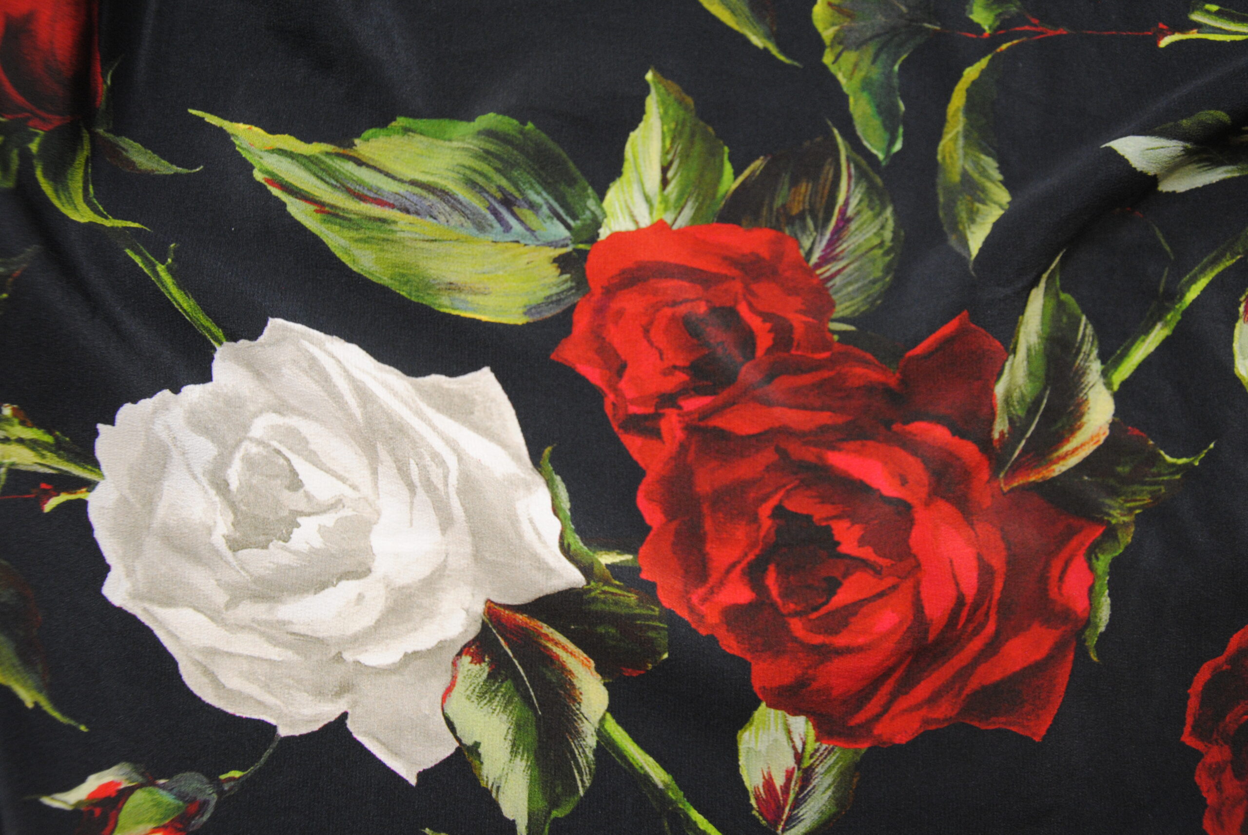 red roses nero (5)